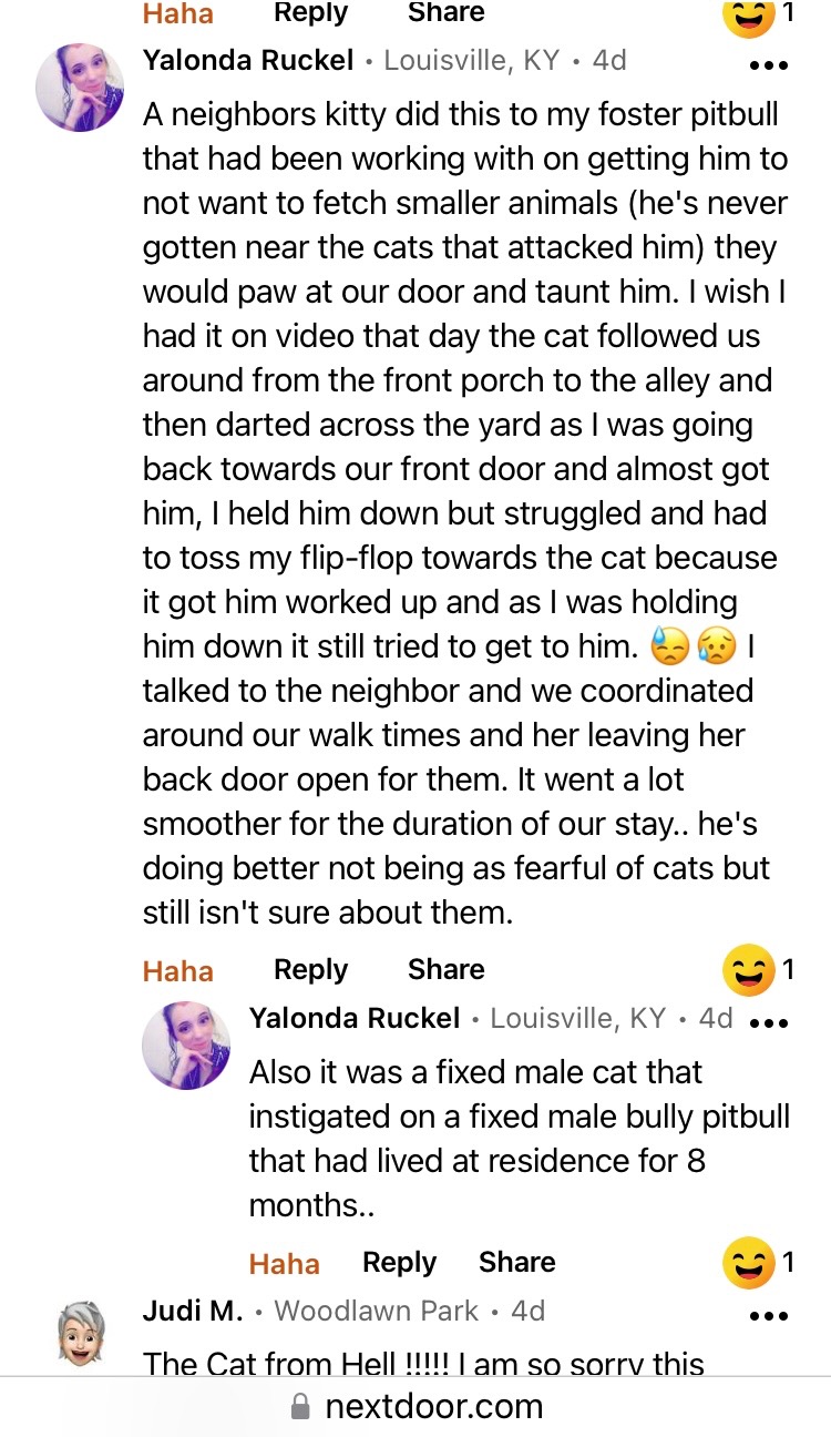 The entertainment value of Nextdoor is unmatched