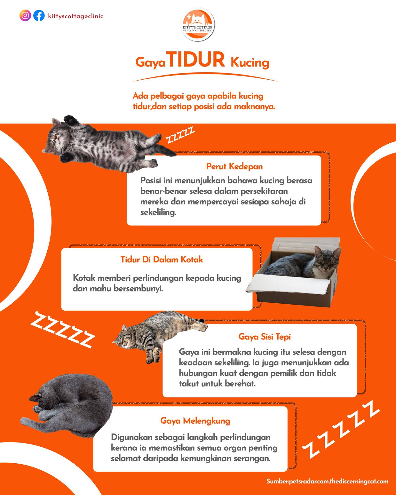 Kitty S Cottage Klinik Haiwan Surgeri Klang Facebook