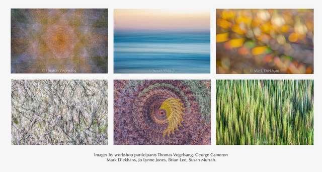Frans Lanting (@FransLanting) • Facebook