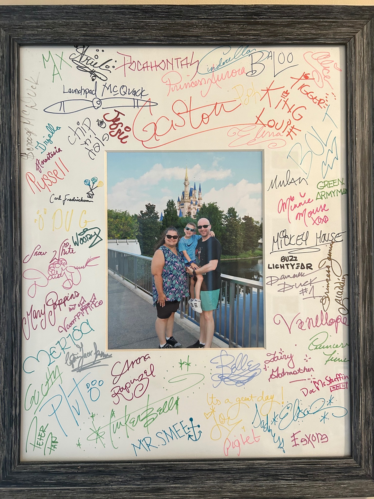 Disney autograph mat for 8x10 pictures