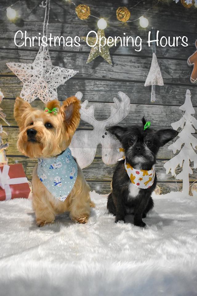 Wags Whiskers Pet Boutique Canine Cafe Home Facebook