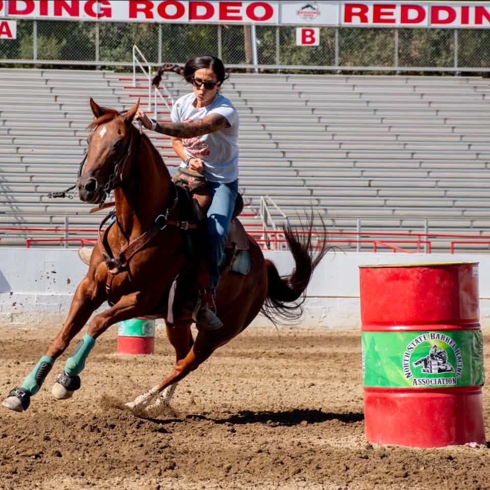 So Cal Horse Trader | ISO horses for clients | Facebook