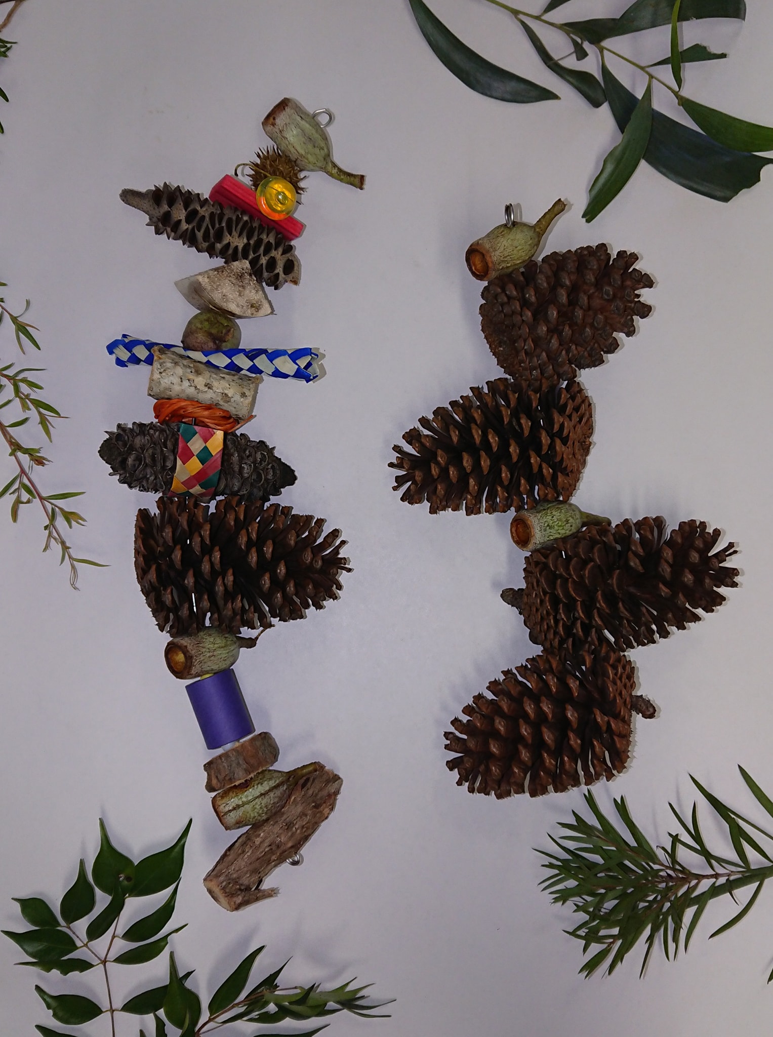Here are the sneak peak... - Animal Enrichment Australia