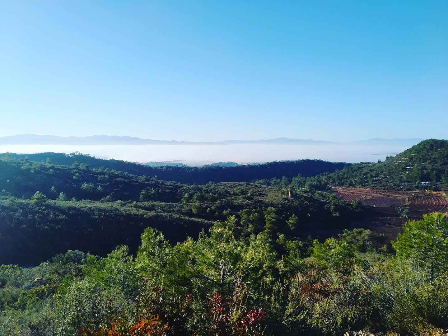 El - El Molar, sepultat per la boira, des de Damunt Roca. #damuntroca # ...