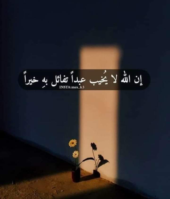 hassan-shahin
