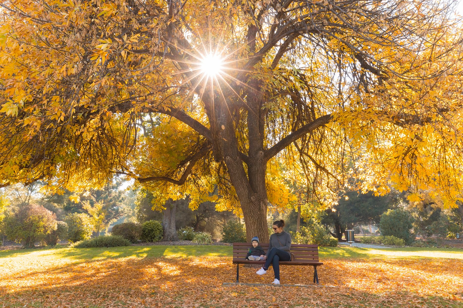 Visit Wagga Wagga - Autumn | Air So much autumn is in the air right now ...