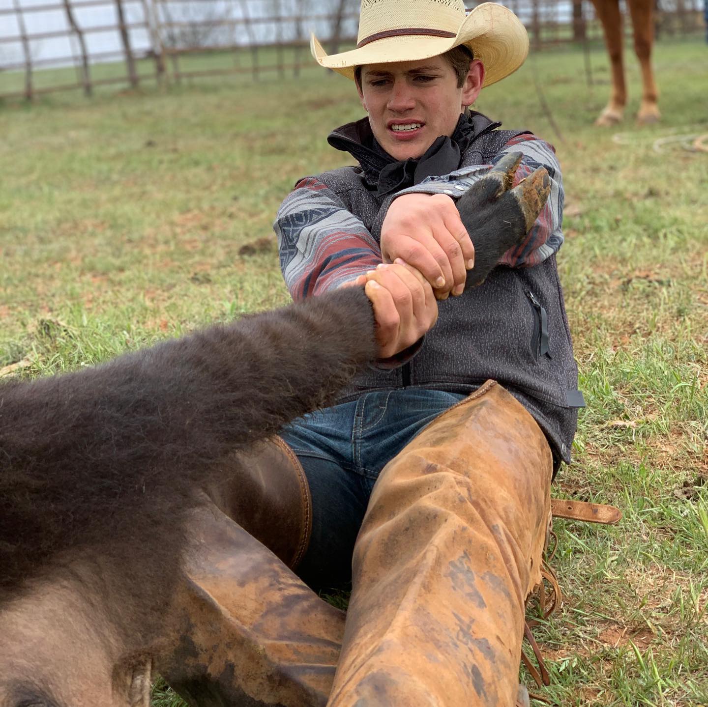 STS Ranch - STS Ranch added a new photo — in Tell, Texas.