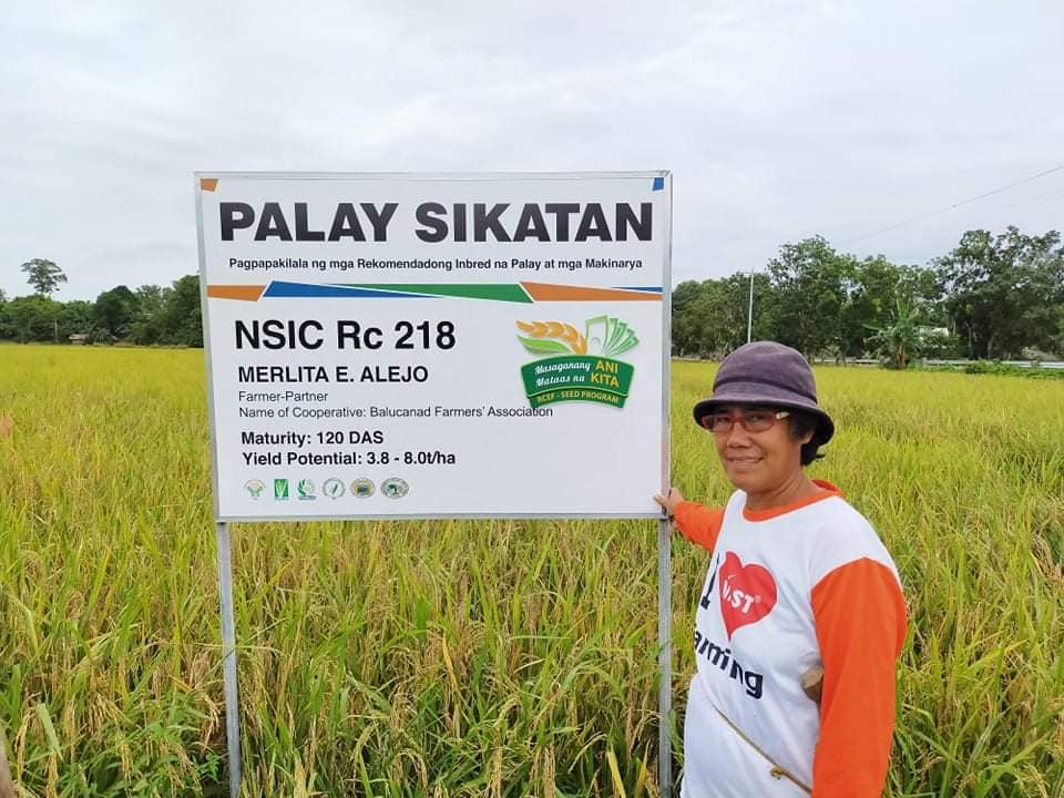 LOOK: Palawan farmers gear up for... - DA-PhilRice Los Baños | Facebook