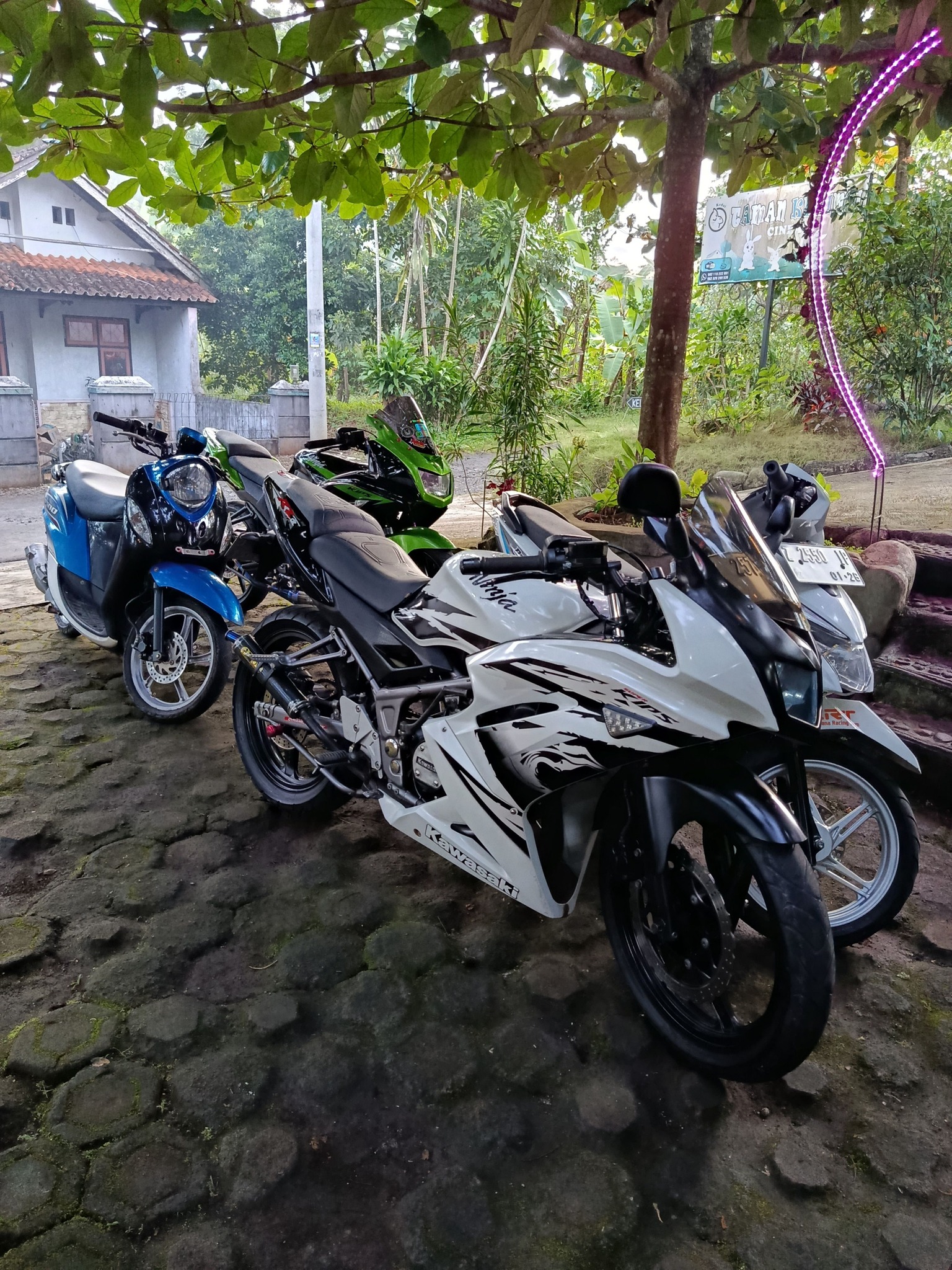 Joining the New Ninja RR 2-stroke group 红売通50 下地 每230 塩ん