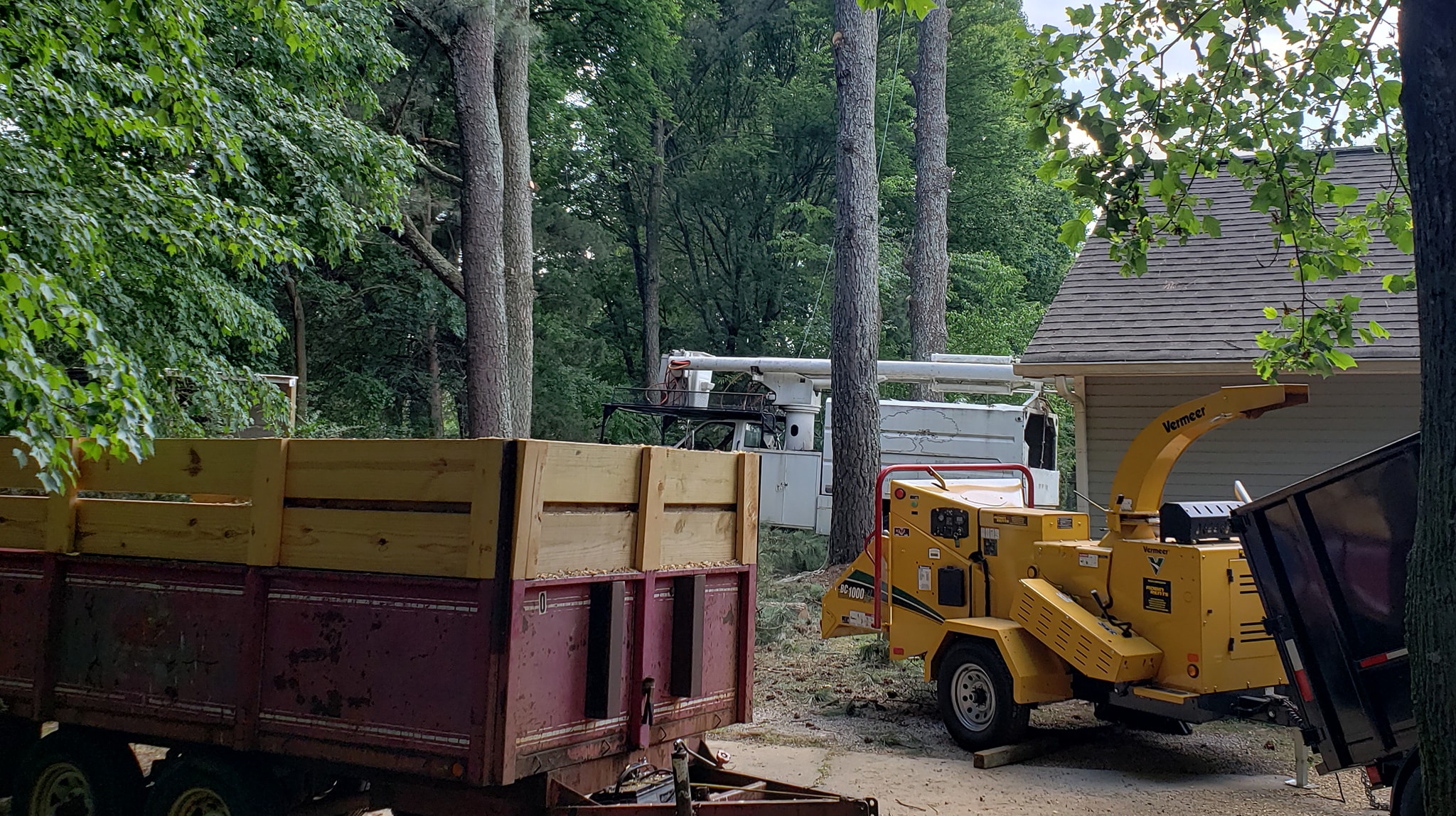 Always Trees LLC | New Market AL