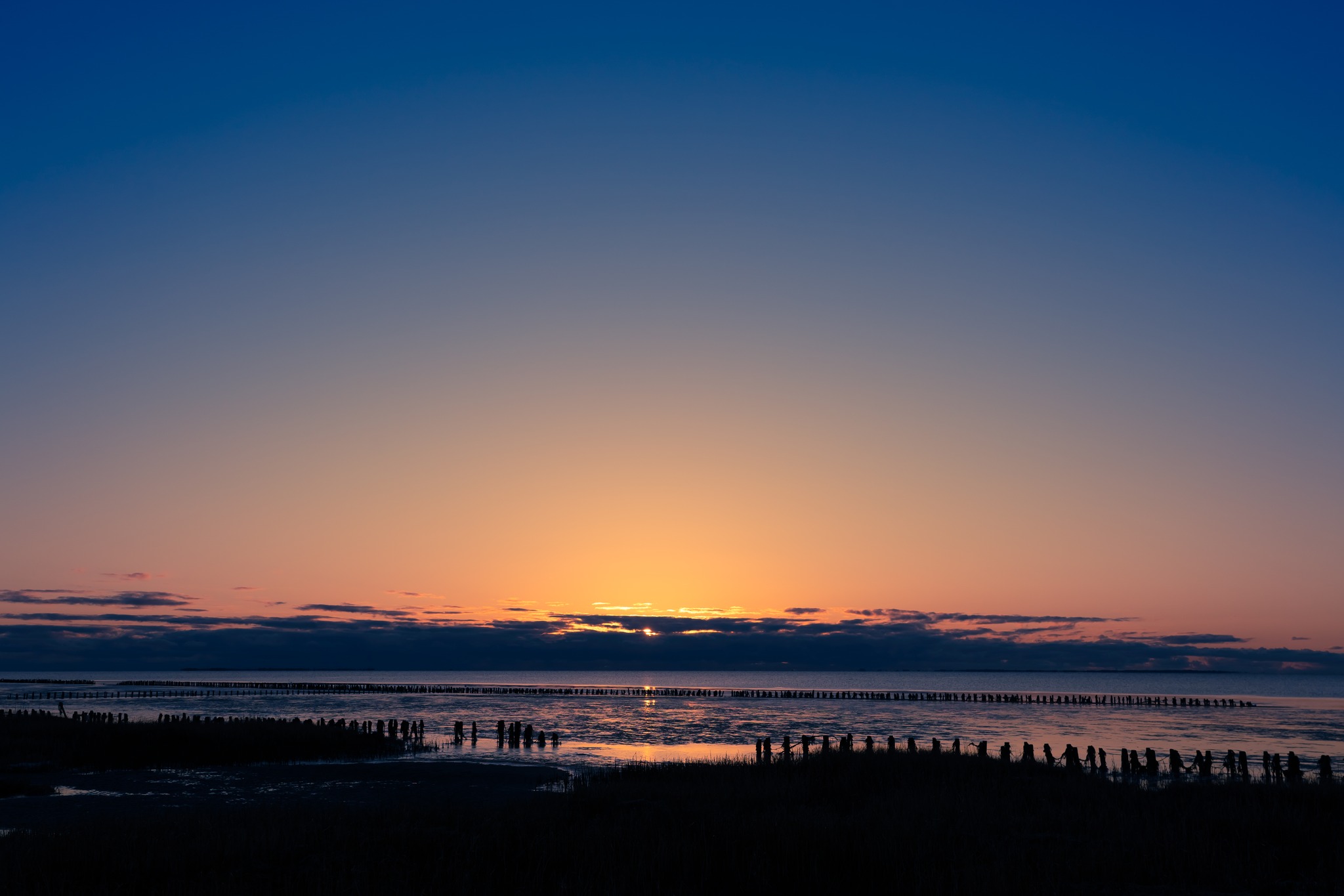 nationalpark-vadehavet-folkegruppen-vadehavet