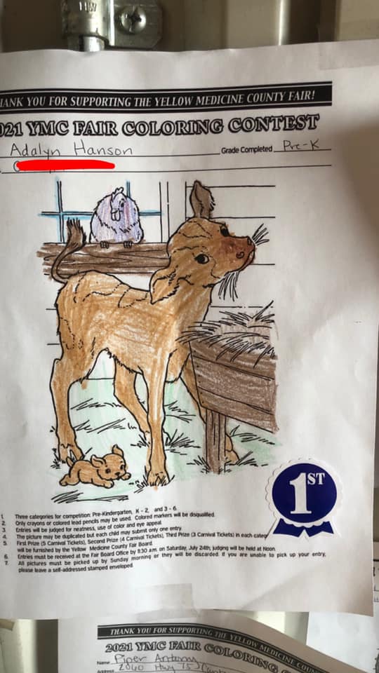 Our Coloring Contest... - Yellow Medicine County Fair