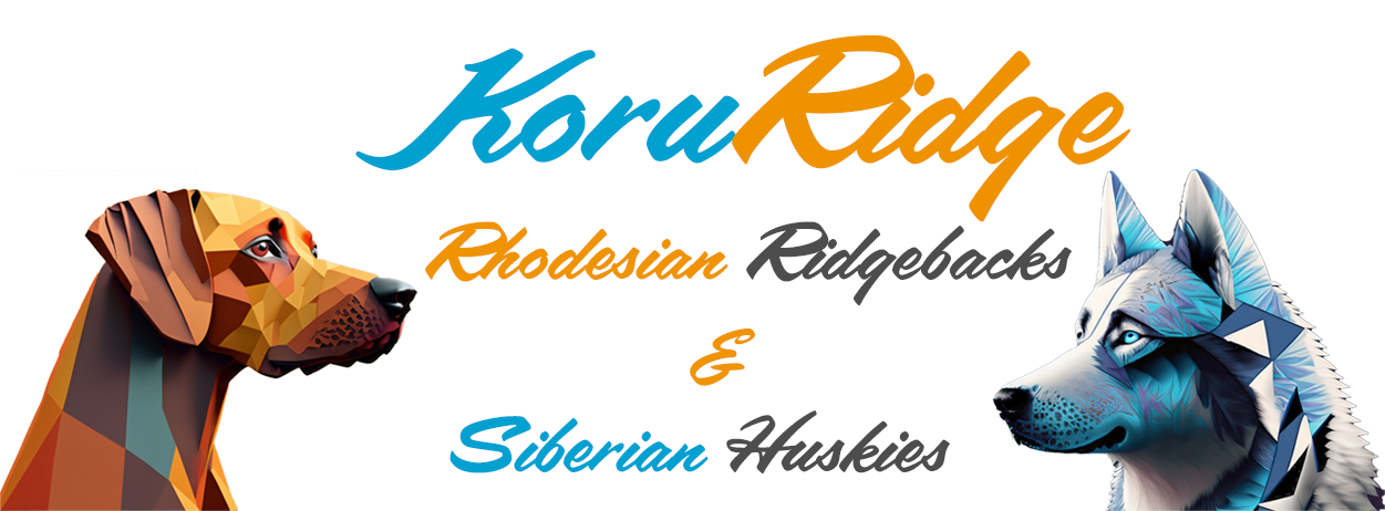 Koruridge Rhodesian Ridgebacks & Siberian Huskies | Tauranga