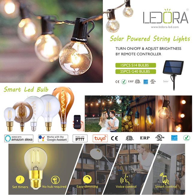 ShenZhen Ledora Lighting Co., Ltd