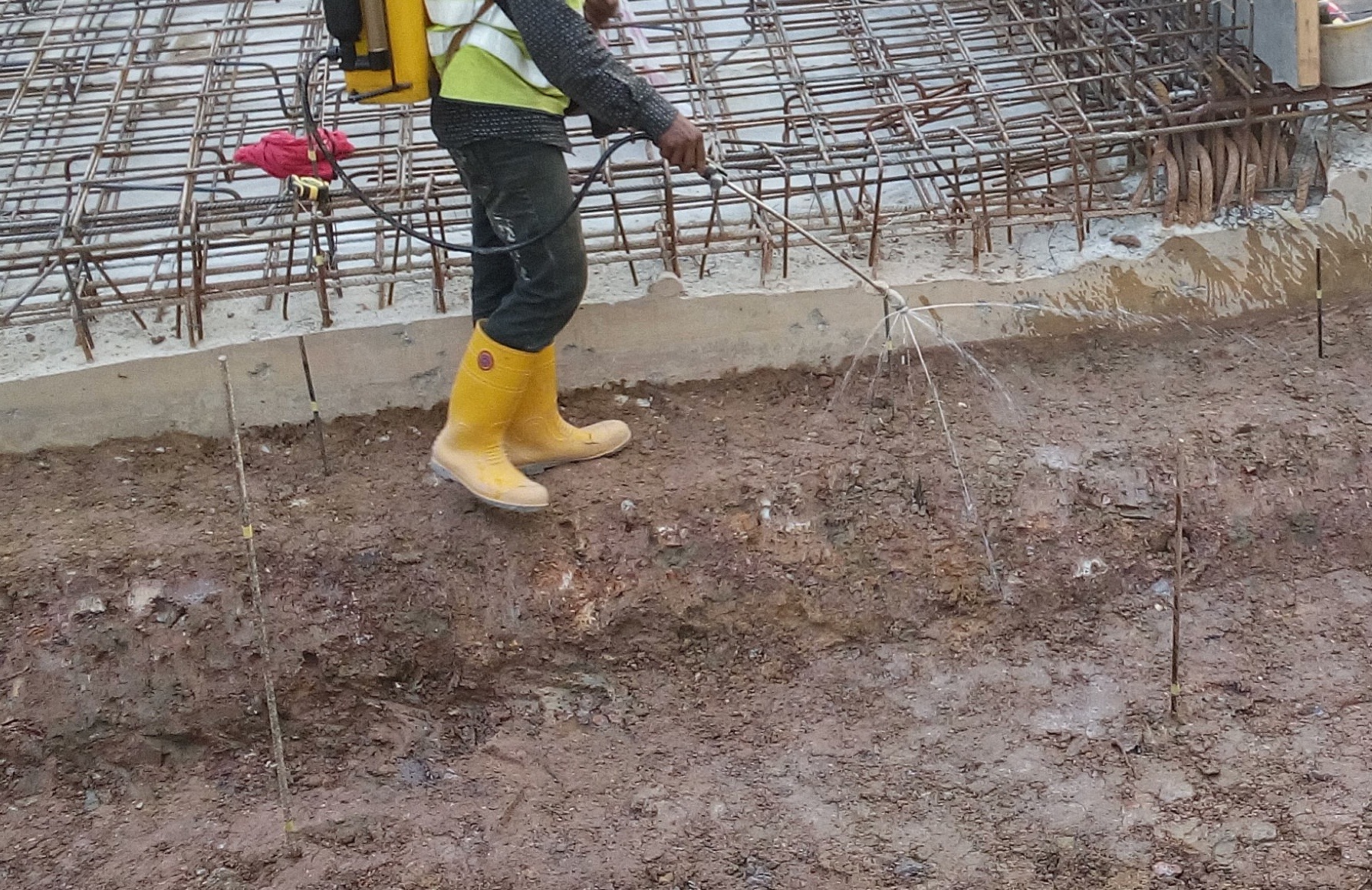My Pest Control - FACT - before, during and after your construction, it ...