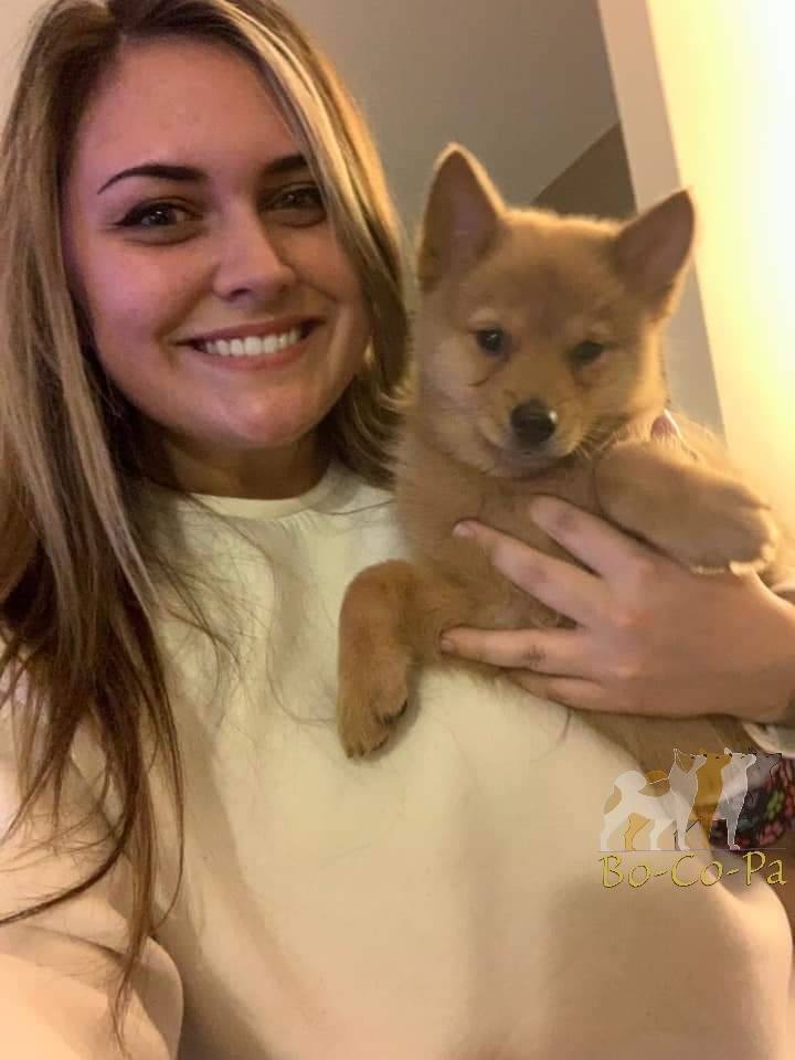 Our puppies have left to their new homes!! They will get to live their ...