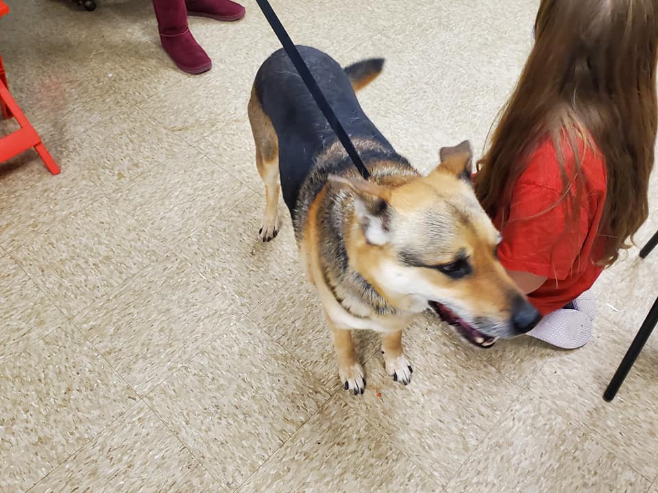 A Better Chance Animal... - A Better Chance Animal Rescue
