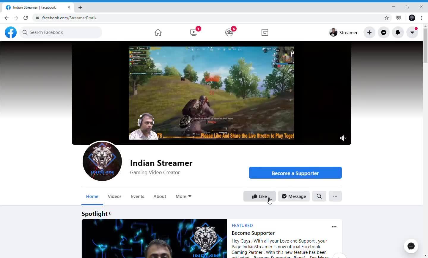 Indian Streamer