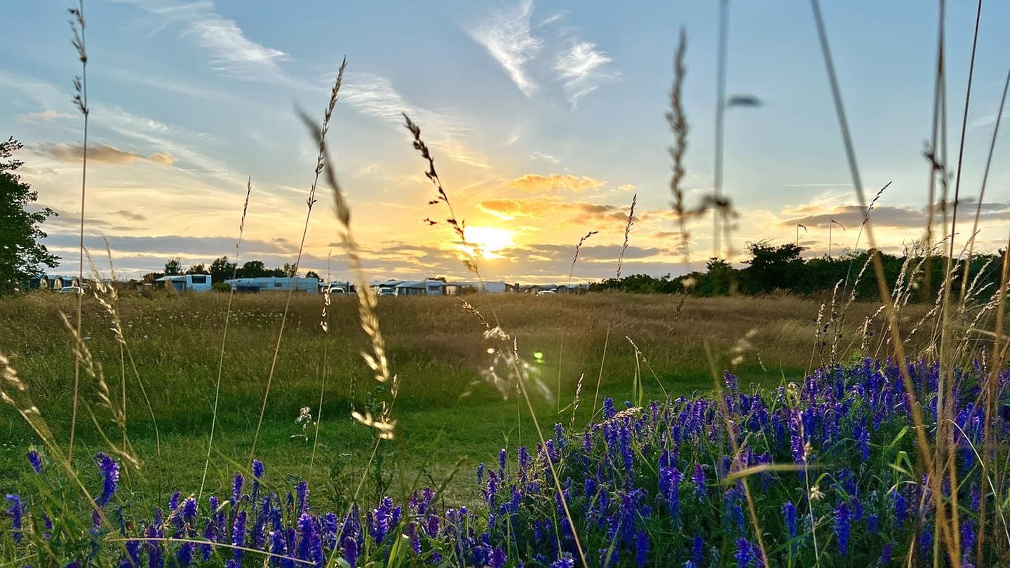 HYGGE Strand Camping - Lyset her på @Kystlandet kan nu noget ganske ...