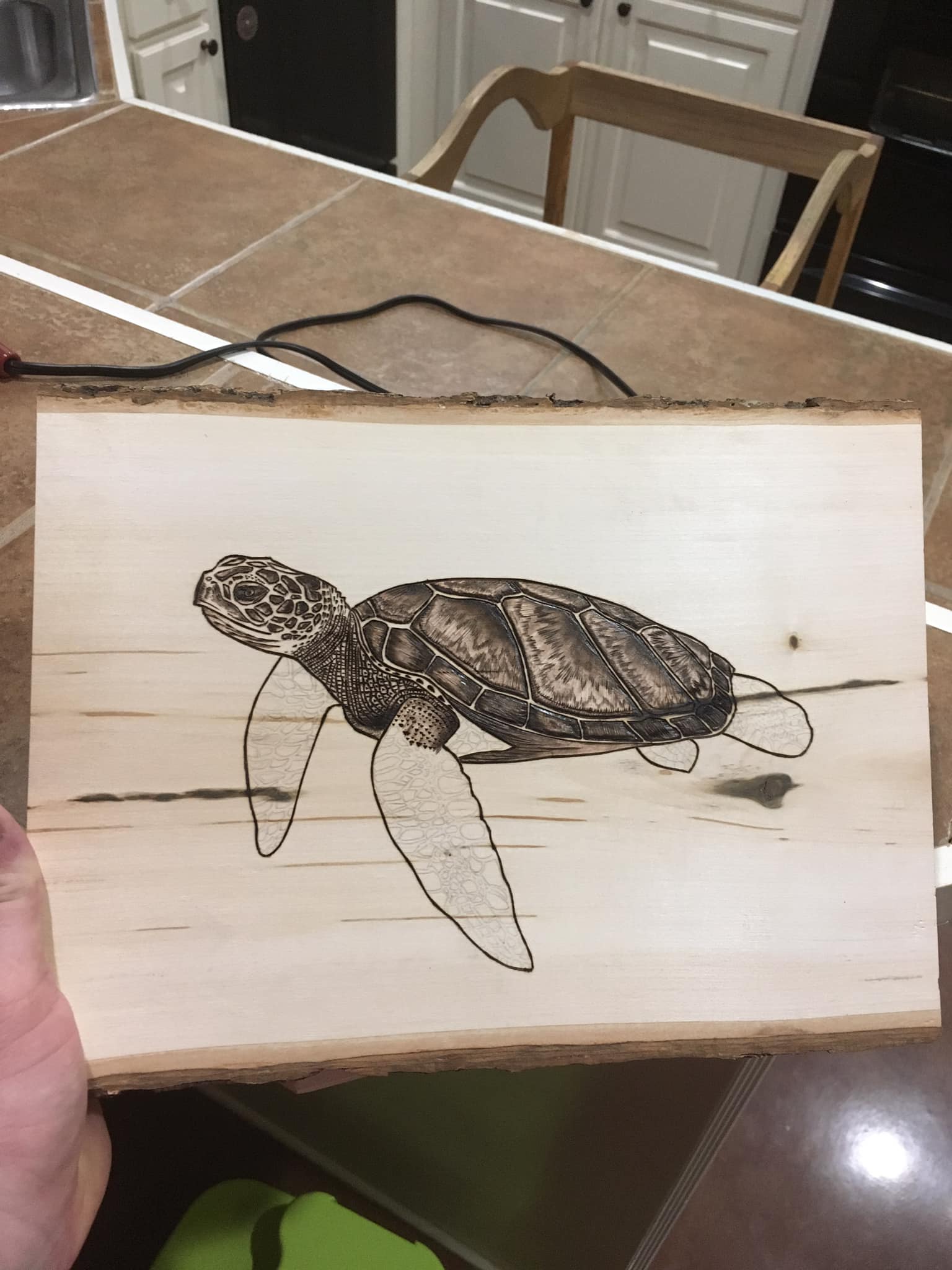 Sea turtle - Gainester Pyrography wood working and burning