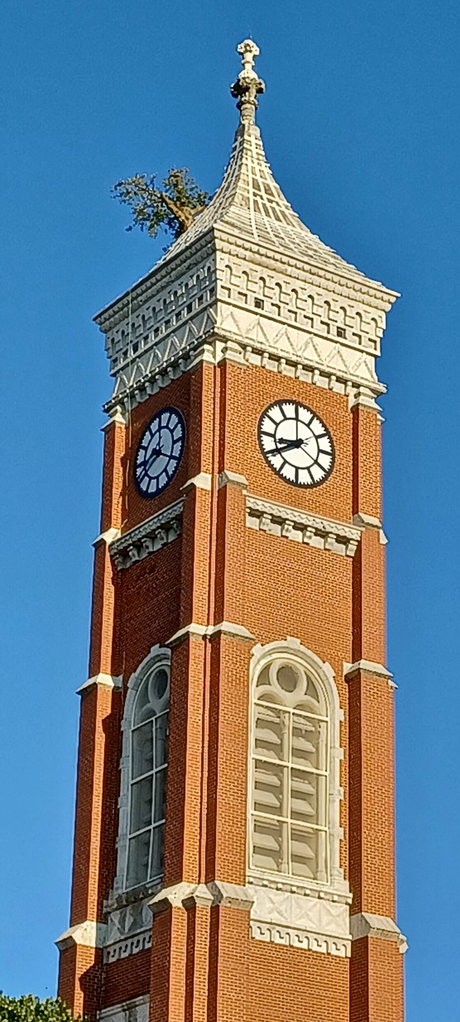 The Tower Tree, growing out of the courthouse tower at Greensburg, IN.