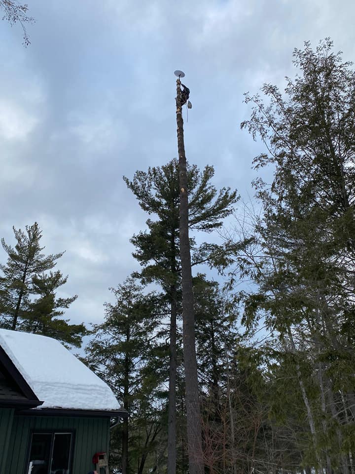 Sound Tree Service