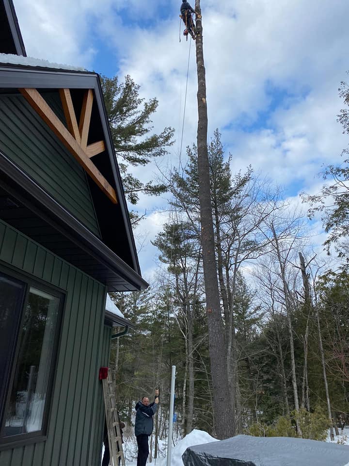Sound Tree Service