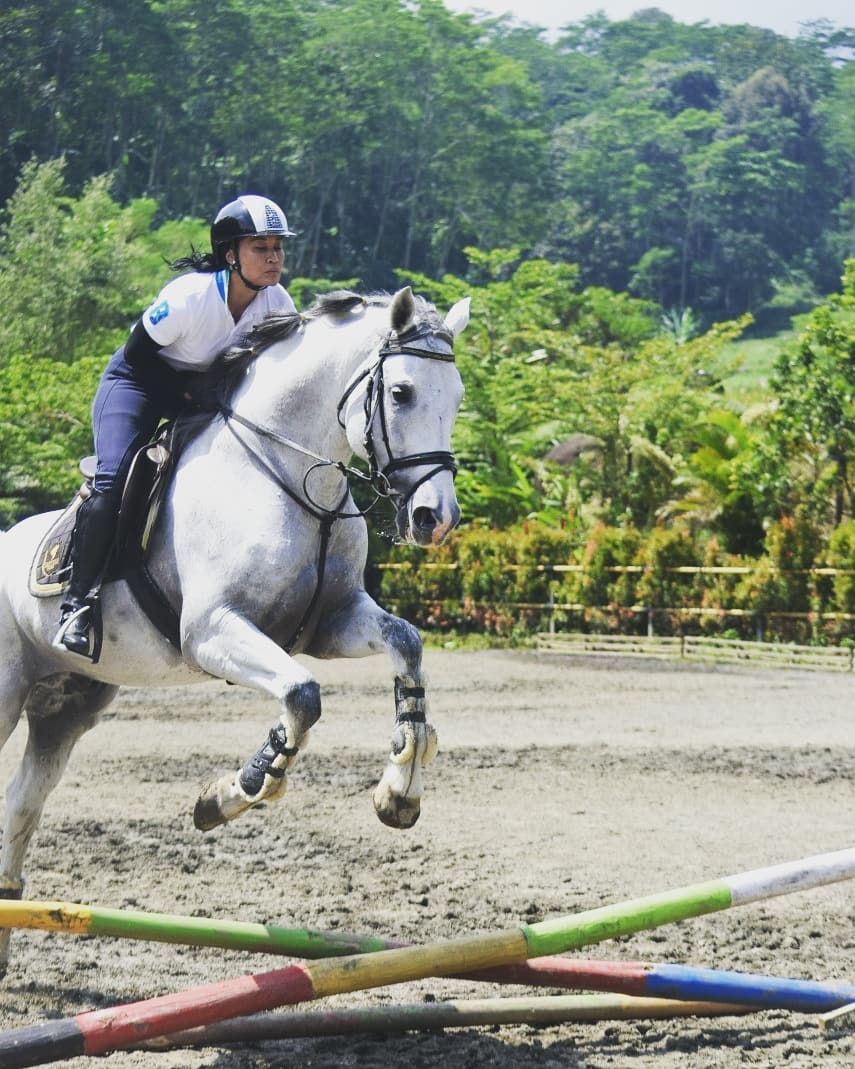 Santosa Stable - Santosa Stable added a new photo.