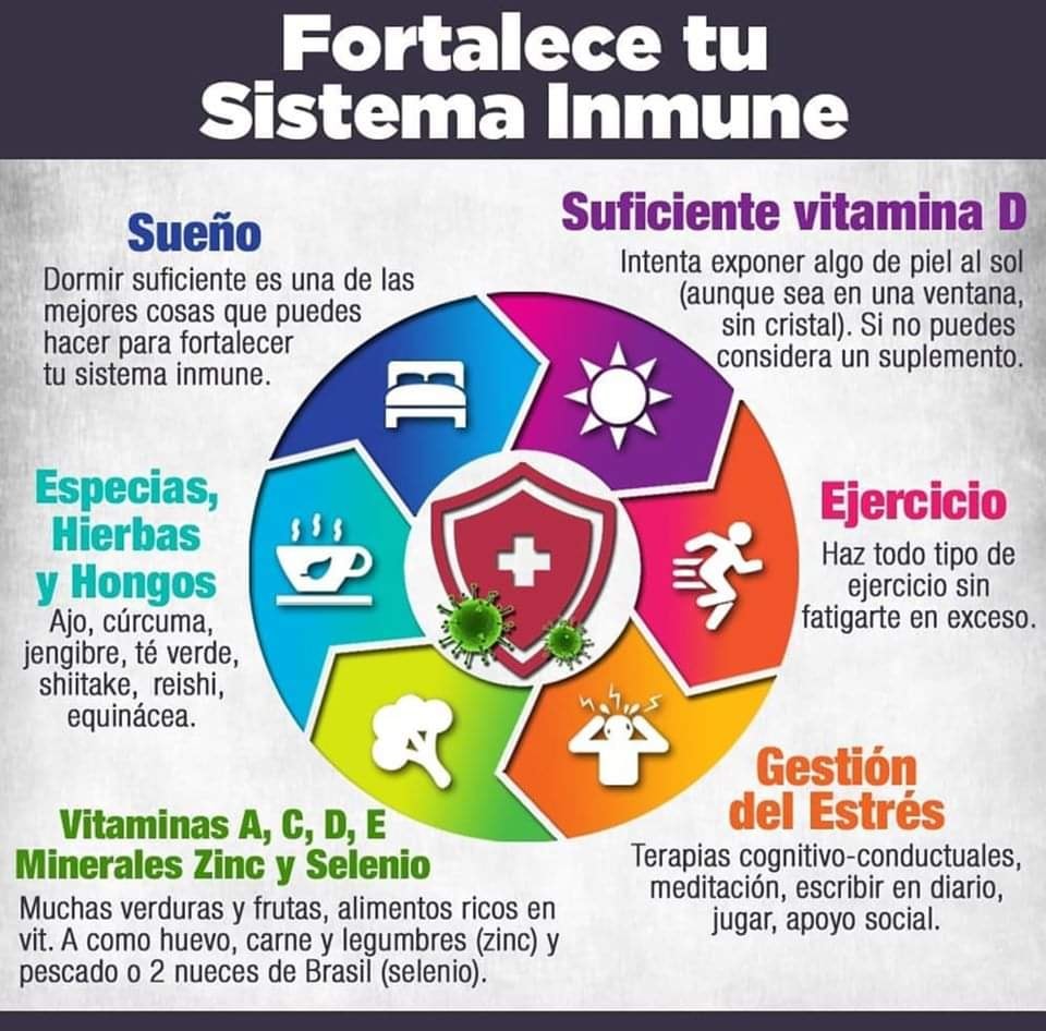 El Profe Ruiz - 💪 Fortalece tu sistema inmune 💪 😊 | Facebook