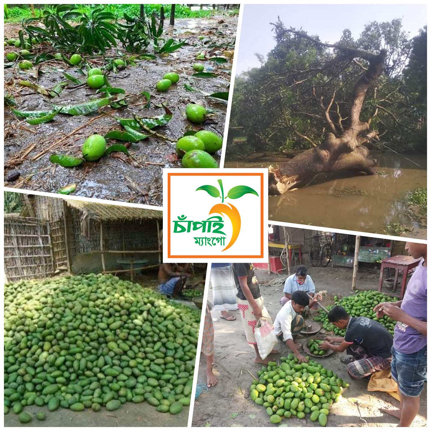 রাজশাহী ম্যাংগো & পিকেলস্ লাভার'র্স - #মৃত্যু_বার্ষীকি সমর সেন (ইংরেজি ...