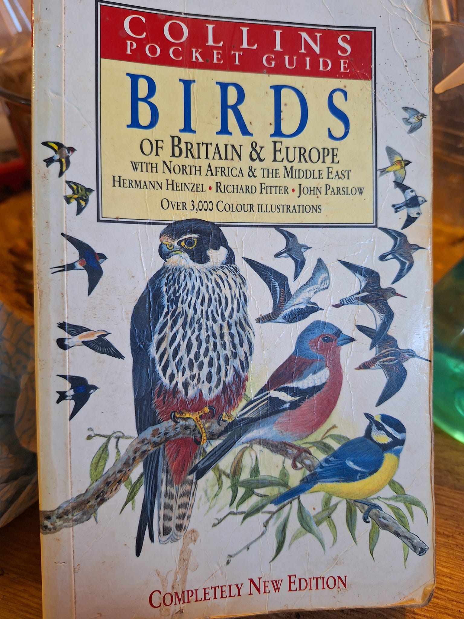 Old bird guides from the 1930s with unique illustrations