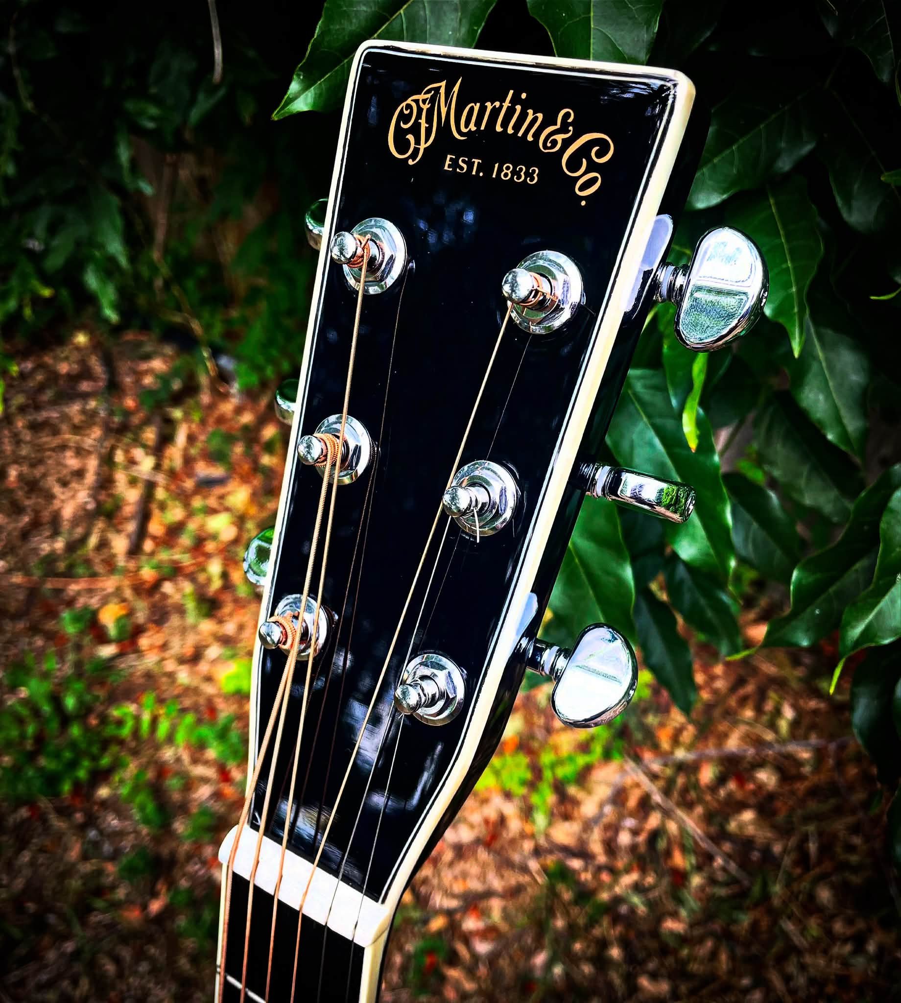 Grover 102c rotomatics and Martin pickguard on a guitar