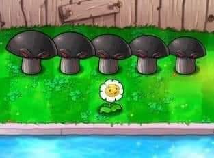 Meme nivel experto😂😂 - Plantas contra Zombies | Facebook