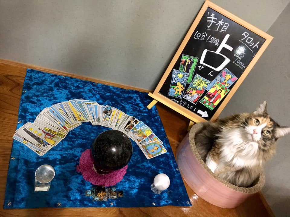 占い 占 せん