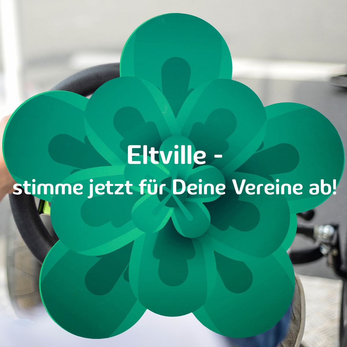 Rosenfreunde Eltville E V Community Facebook
