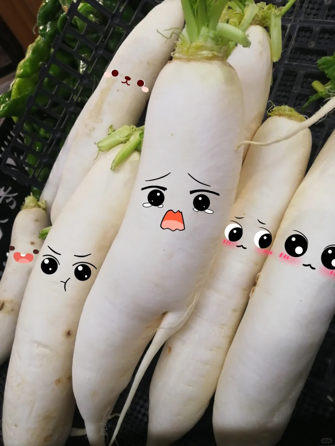 Meta Radish