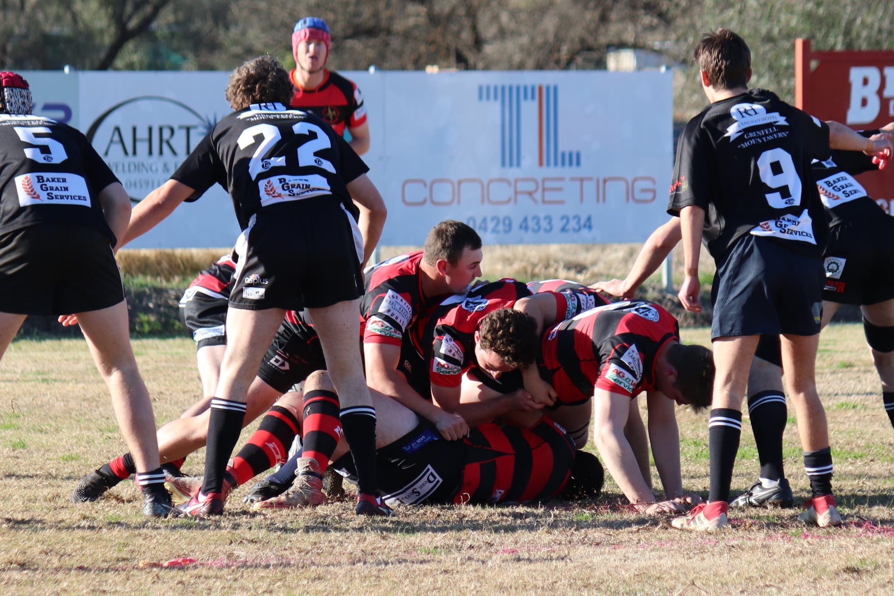 West... - West Wyalong Rugby Union - Weevils and Redbacks