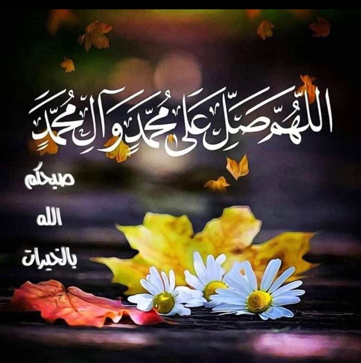 Jamal R. Rasool Al-abady