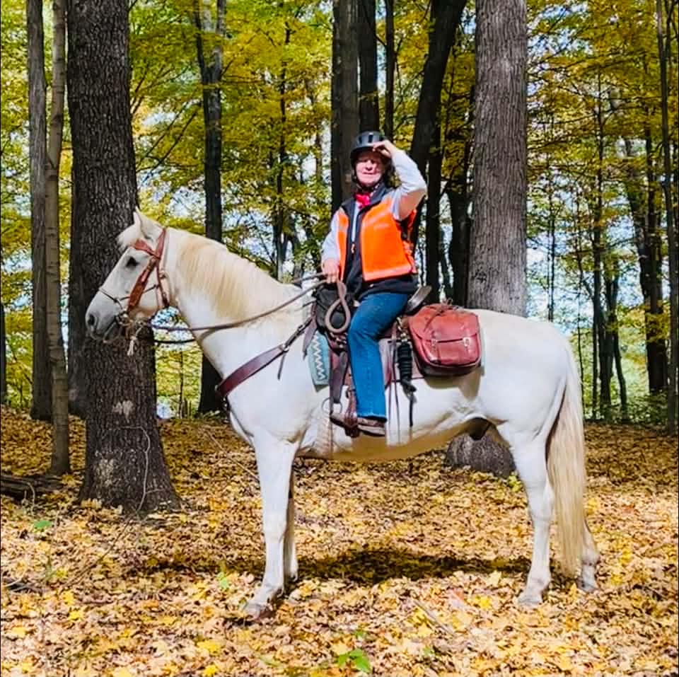 Reining & cow horse PROSPECTS & BROODMARES for sale | Located in ...