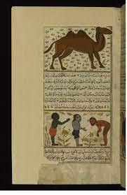 Asian Folklore, Urban Legends and Mythology | Magic of Jinn from Arabic ...