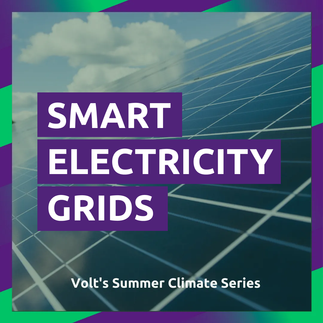 Volt UK - Volt is an Europe-wide party, with an... | Facebook