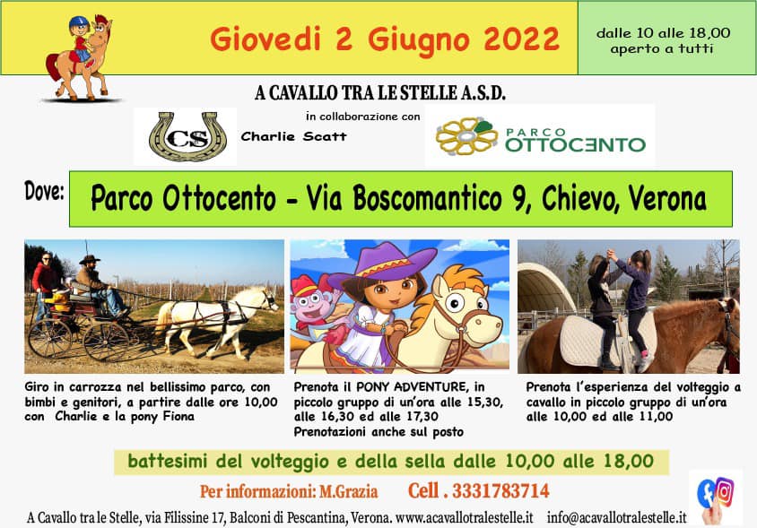 Sella Pony Equitem Tuttofare - Nero/Marrone Con Rifiniti Turchese - 15'' - Scegli Con O Senza Staffili E Staffe