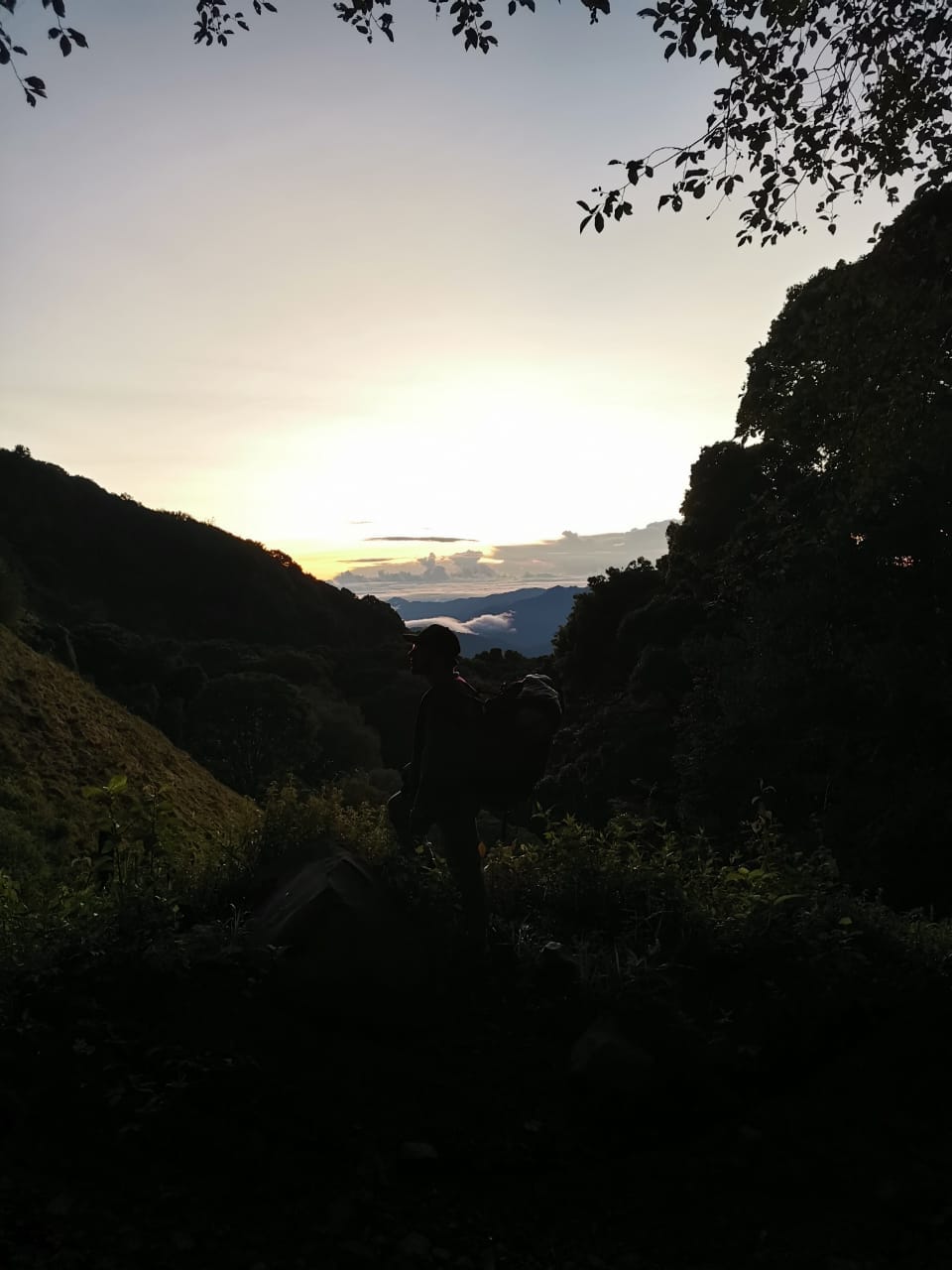 Maxi Montenegro Quiel