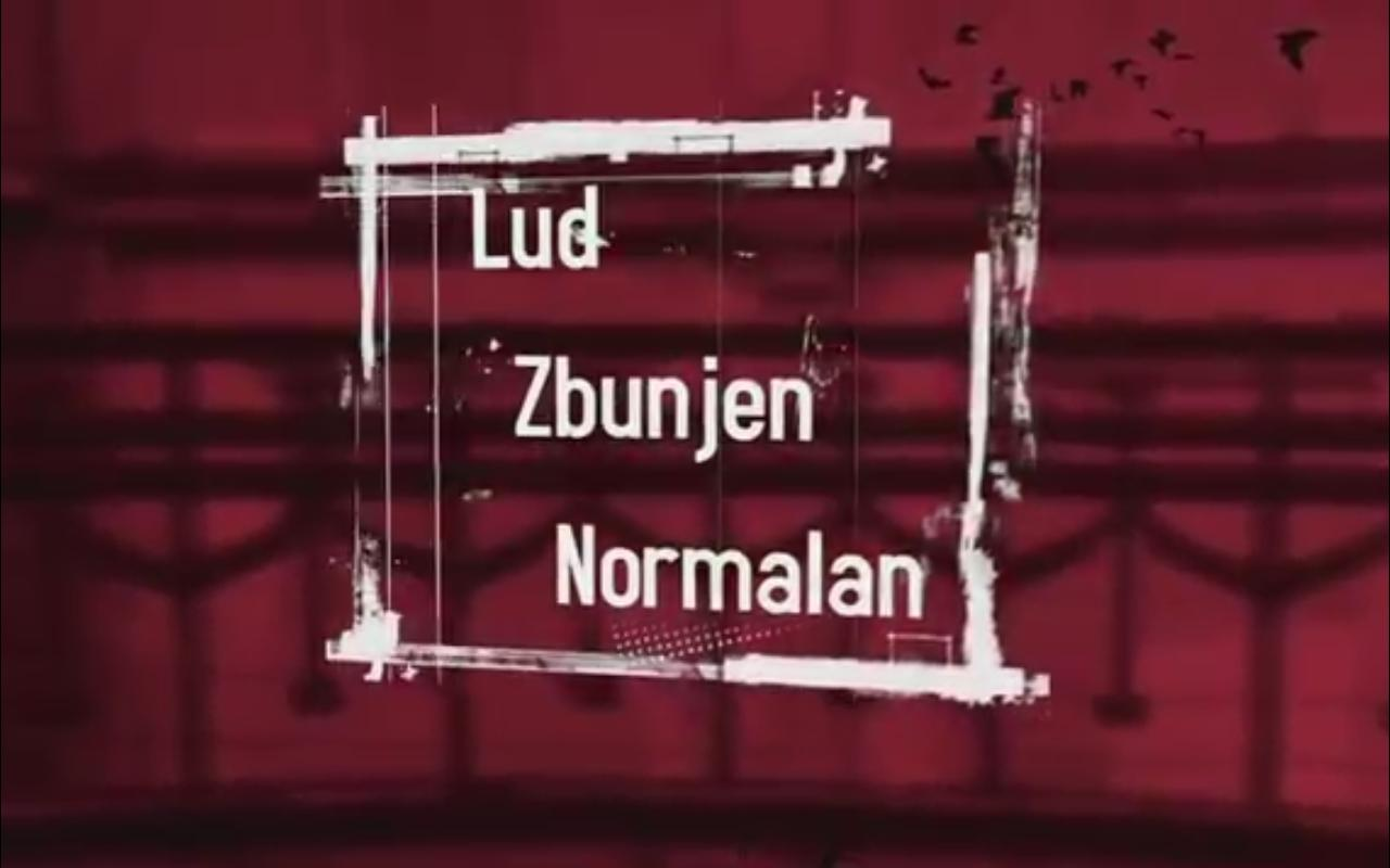 Lud zbunjen normalan