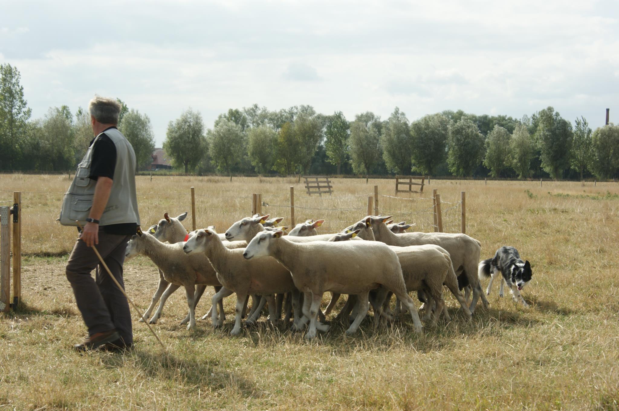 La Ferme du Rebout... - La Ferme du Rebout 2012/2019