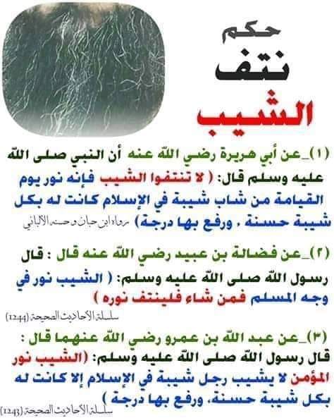 علم العقاقير المراسلات السنة القمرية الجديدة نتف الشيب Rdarajouri Com