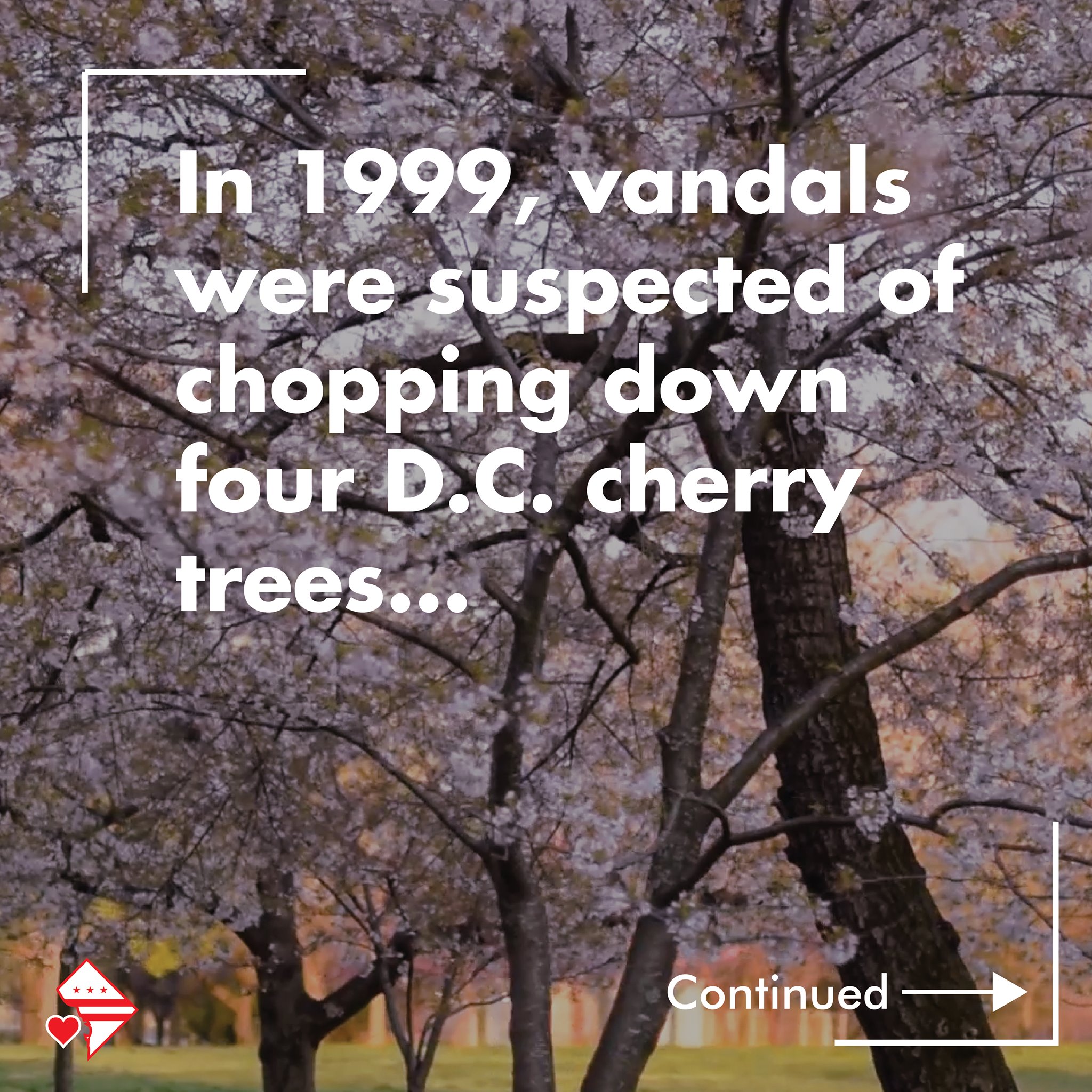 Love DC Brand - D.C has an extremely diverse and colorful... | Facebook