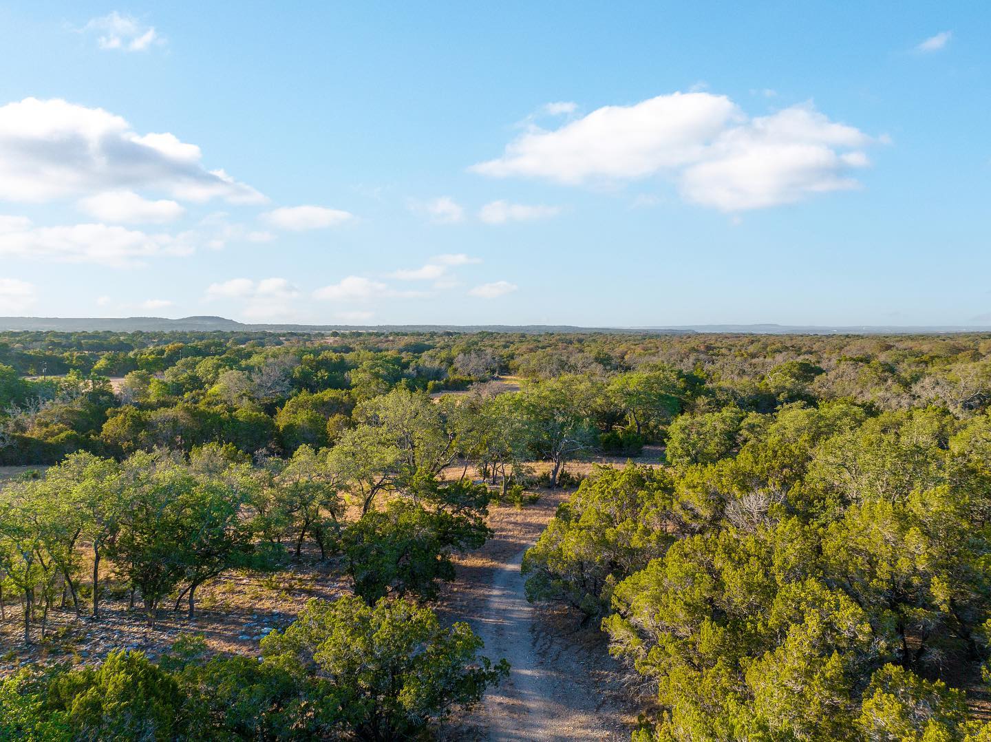 Shipley Ranches | Austin TX