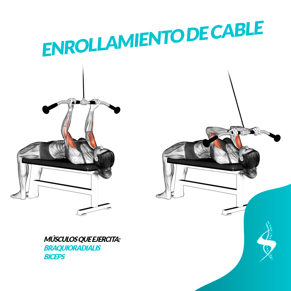 Lying high cable curl -... - Centro Quiropráctico Stumvoll