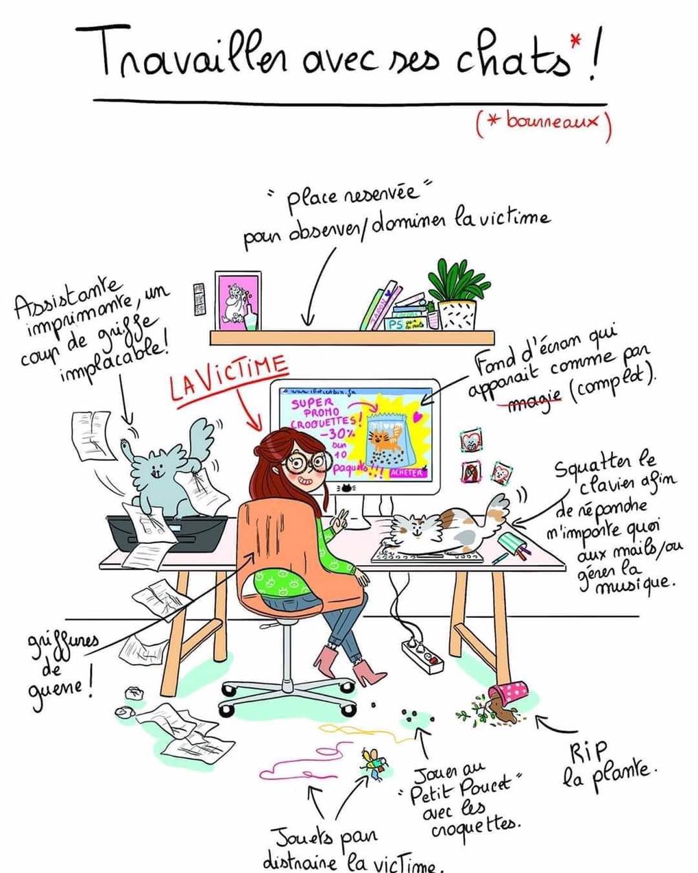 Web O Zen Communication